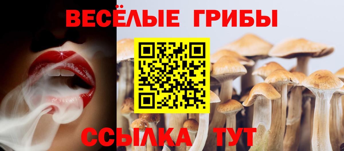 Галлюциногенные грибы Cubensis  Вход с VPN  Псилоцибиновые грибы ЛСД  Людиново 